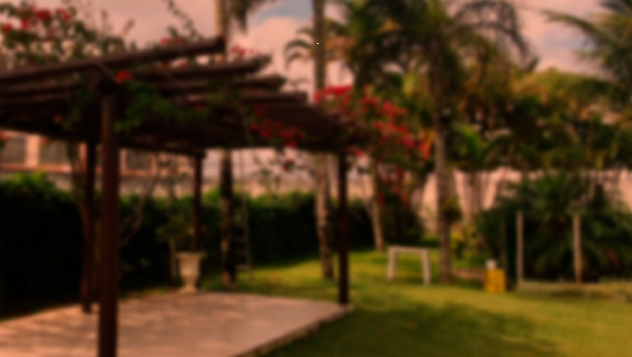 Sem-Título-1