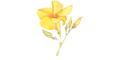 Espaço Alamanda